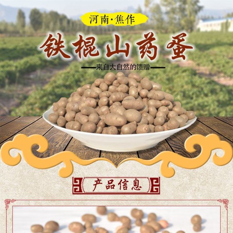 一件代发【正宗铁棍山药豆】新鲜采摘河南焦作温县怀山药蛋豆