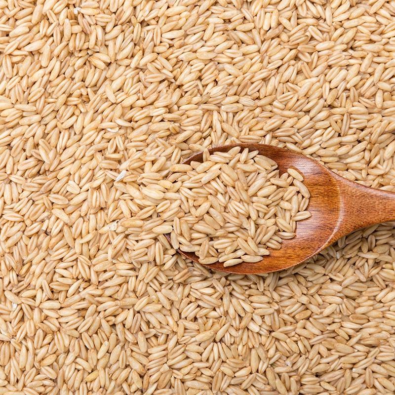 燕麦米。2022年新货，颗粒饱满，国产货，进口货都有