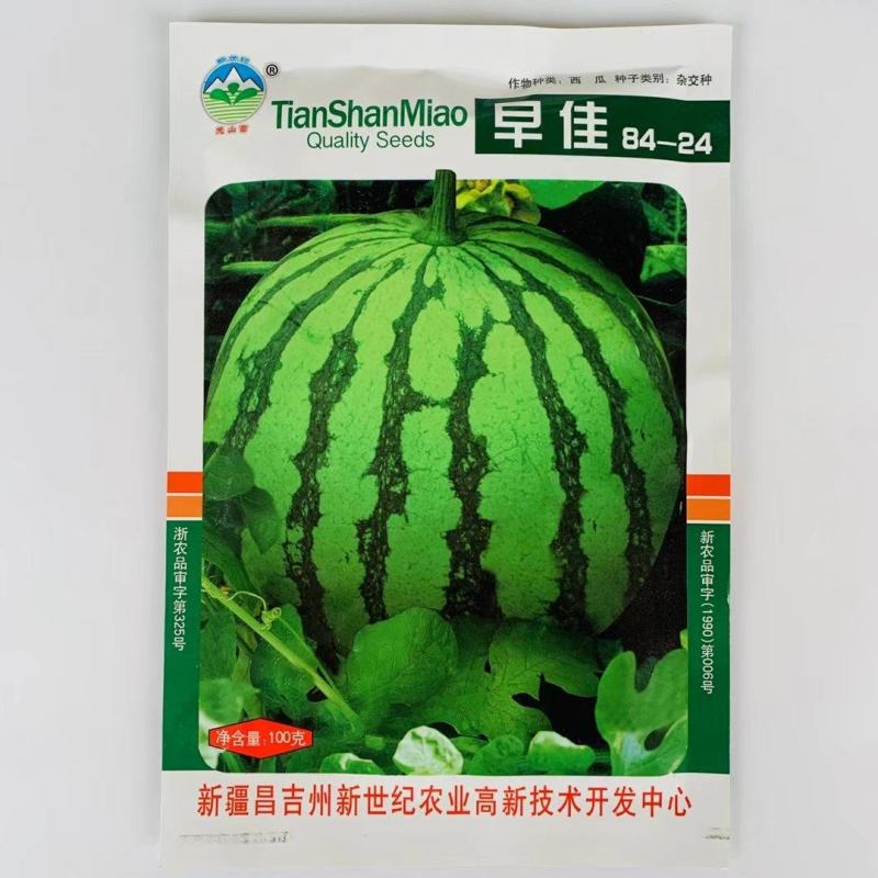 冰糖麒麟8424西瓜种子特大高产四季巨型无籽甜王西瓜种子
