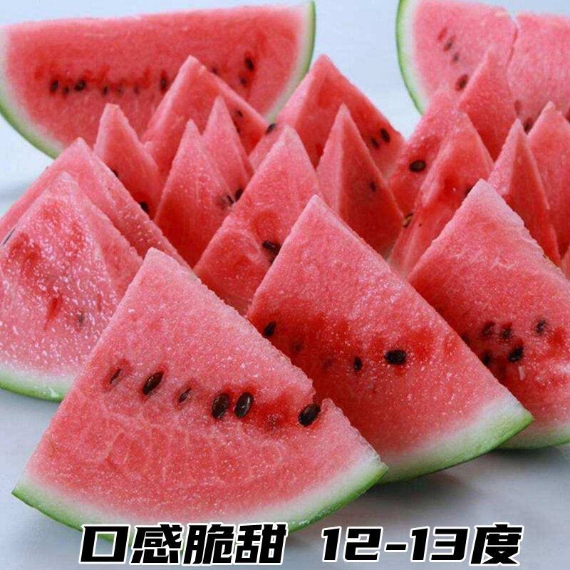 冰糖麒麟8424西瓜种子特大高产四季巨型无籽甜王西瓜种子
