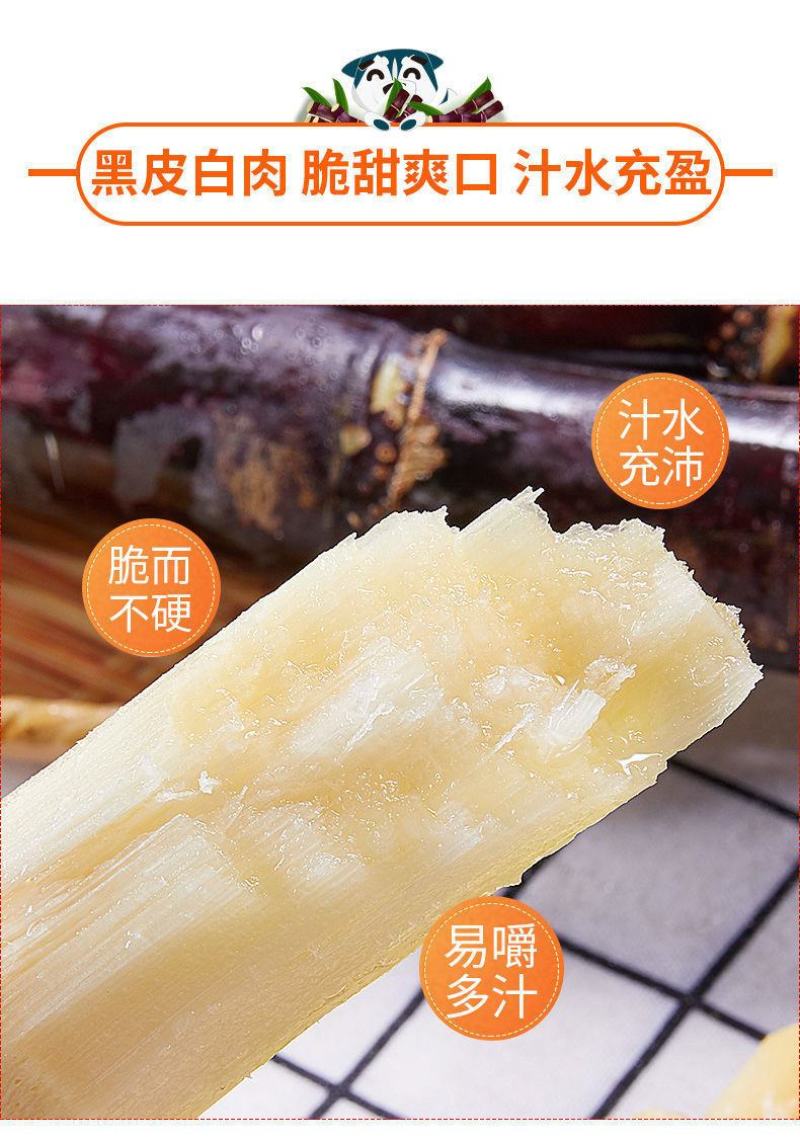 【一件代发】广西黑皮甘蔗新鲜现砍脆甜水果节长多汁整箱包邮