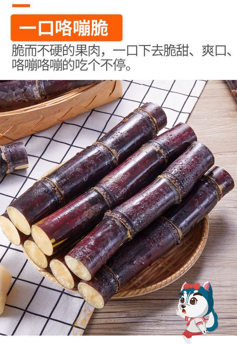 【一件代发】广西黑皮甘蔗新鲜现砍脆甜水果节长多汁整箱包邮