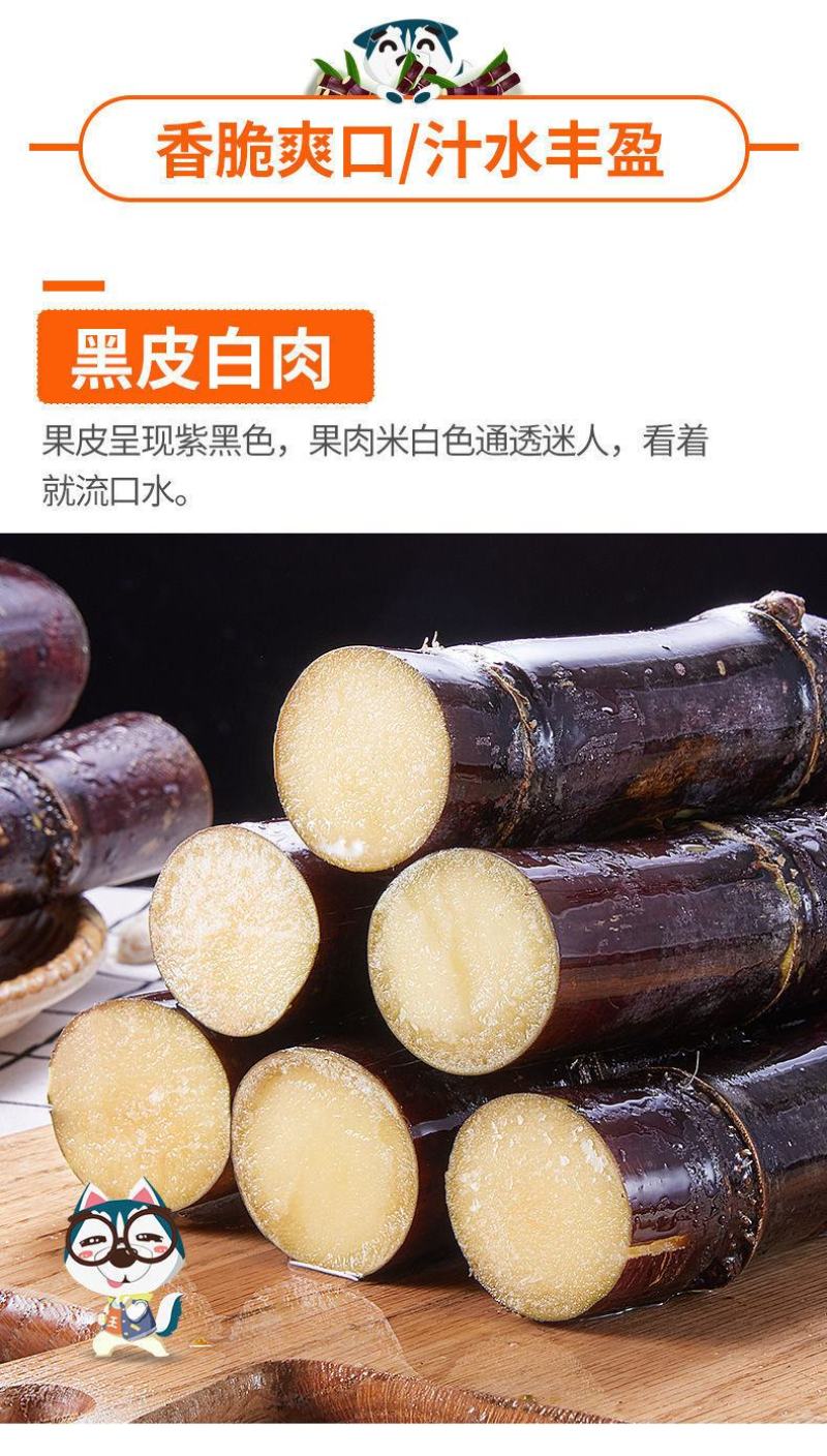 【一件代发】广西黑皮甘蔗新鲜现砍脆甜水果节长多汁整箱包邮