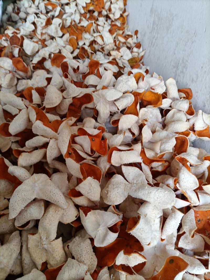 陈皮之乡湖北宜昌，当地特产陈皮含量高，欢迎各地药商来考察