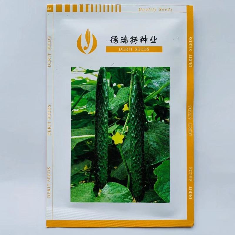 天津德瑞特博美76黄瓜种子春秋密刺青瓜耐热露地黄瓜种子
