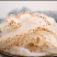 海蜇丝即食凉拌非干货旗舰店下酒菜盐渍素海蜇皮整箱海哲丝