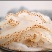 海蜇丝即食凉拌非干货旗舰店下酒菜盐渍素海蜇皮整箱海哲丝