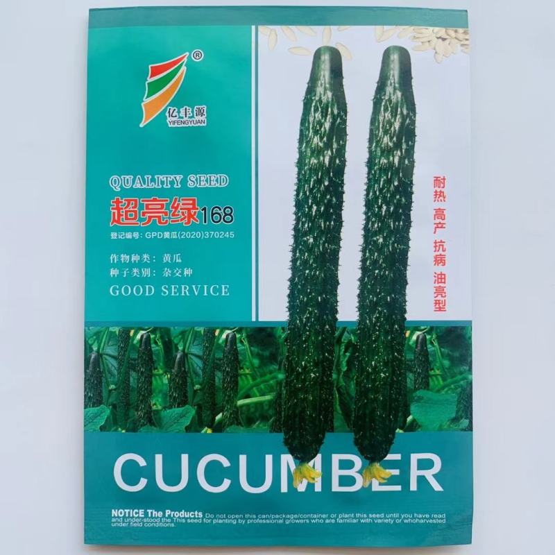 天津德瑞特博美76黄瓜种子春秋密刺青瓜耐热露地黄瓜种子
