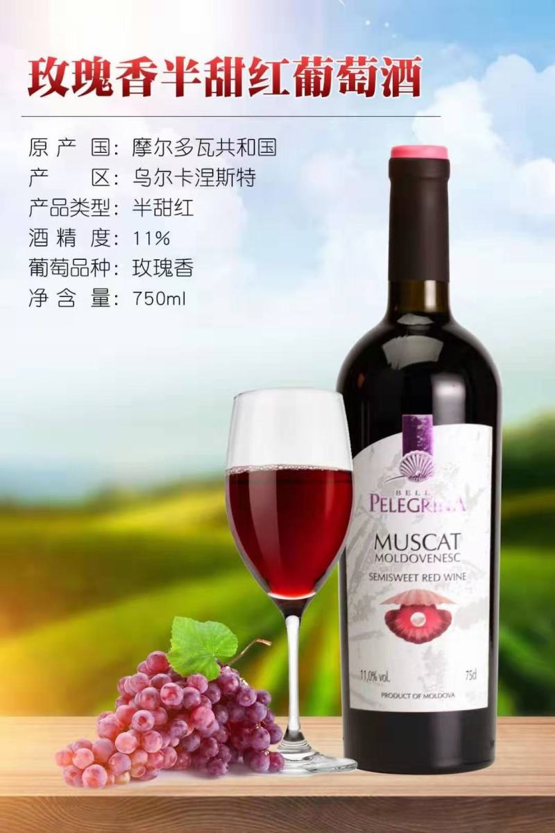 摩尔多瓦红酒，贝壳系列，让您享受时间的定格，在红酒摇曳