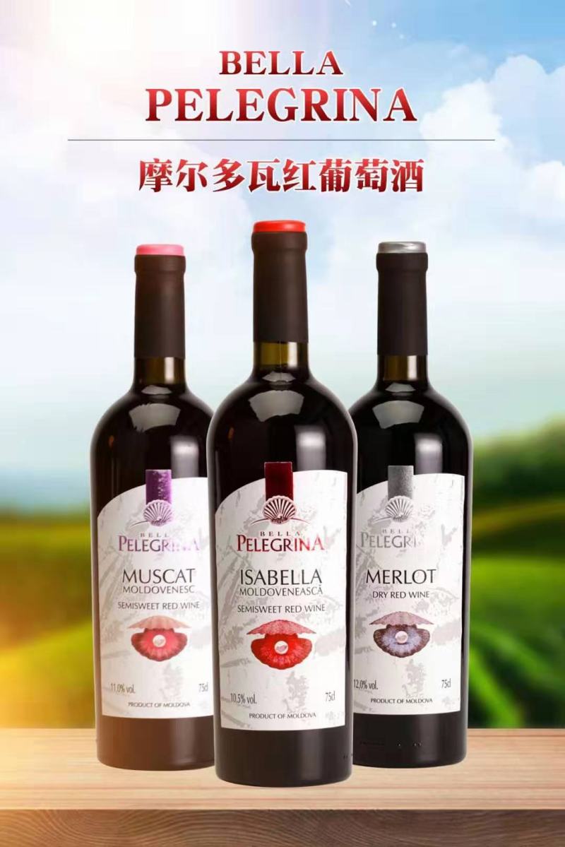 摩尔多瓦红酒，贝壳系列，让您享受时间的定格，在红酒摇曳