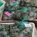 螃蟹湖北精品大闸蟹规格可选一手货源全国发货可混批