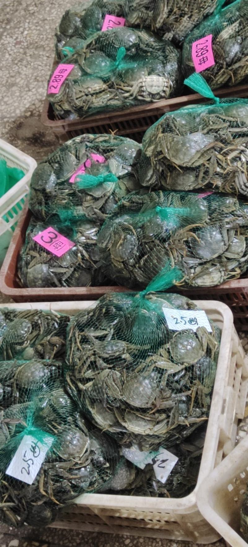 螃蟹湖北精品大闸蟹规格可选一手货源全国发货可混批