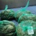 螃蟹湖北精品大闸蟹规格可选一手货源全国发货可混批