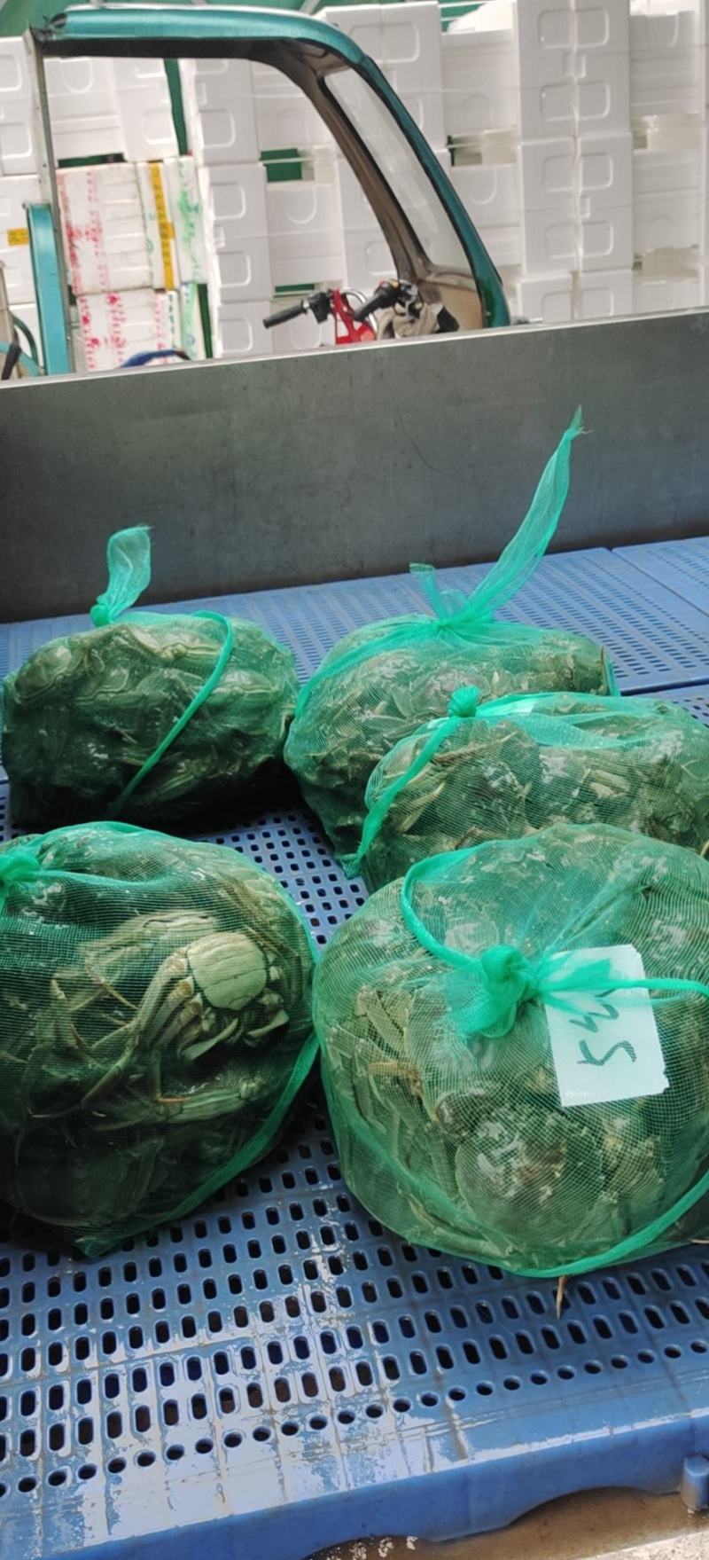 螃蟹湖北精品大闸蟹规格可选一手货源全国发货可混批