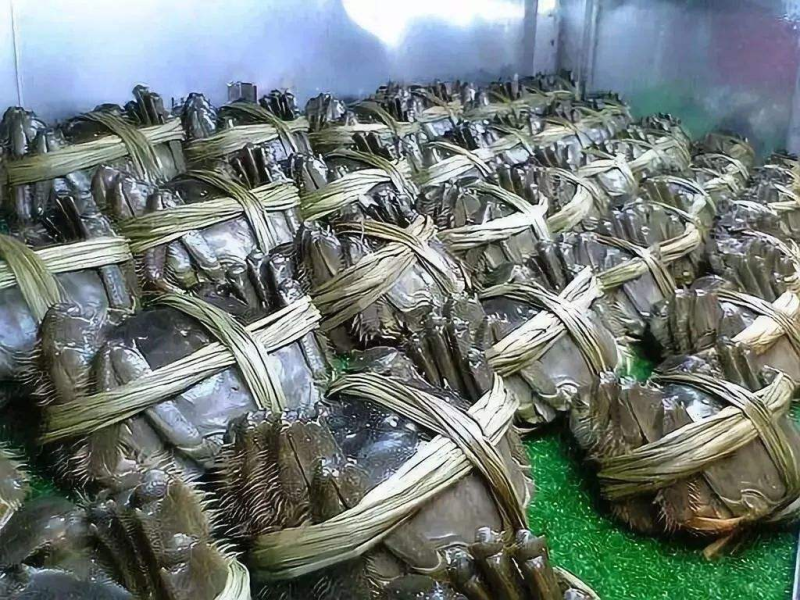 螃蟹湖北精品大闸蟹规格可选一手货源全国发货可混批