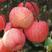 苹果红富士苹果山西冰糖心红富士苹果量大从优对接全国