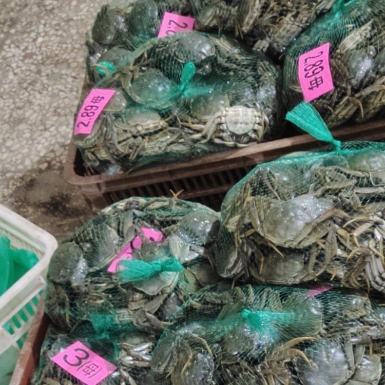 螃蟹哪里批发便宜点