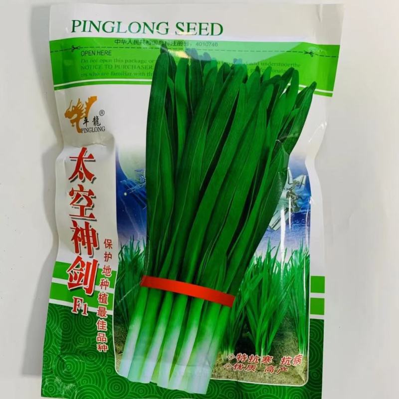 太空神剑F1韭菜种子高耐寒不休眠高产抗病速生抗倒伏基地