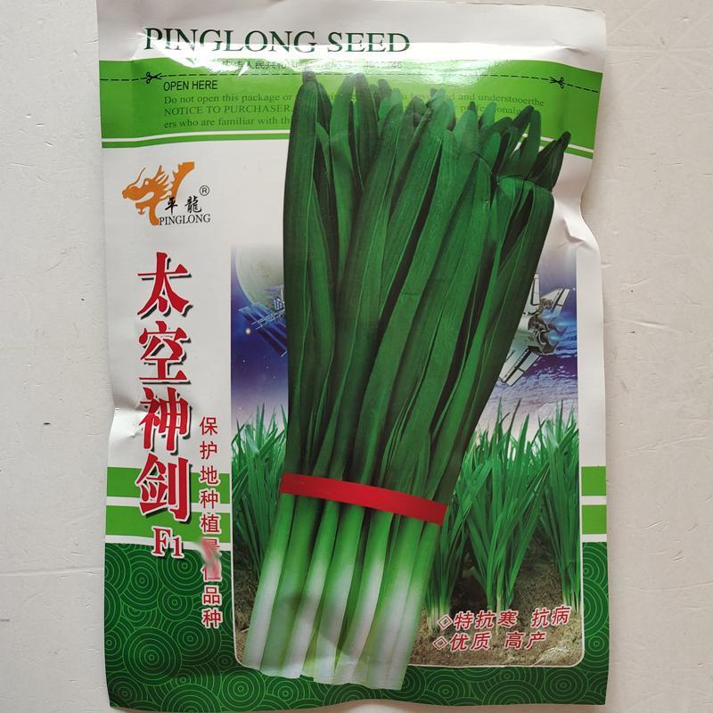 太空神剑F1韭菜种子高耐寒不休眠高产抗病速生抗倒伏基地