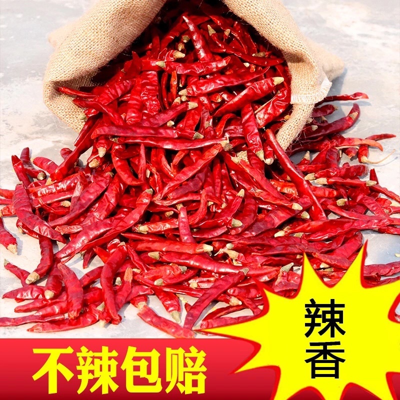 精品干辣椒小米椒变态辣农家自嗮