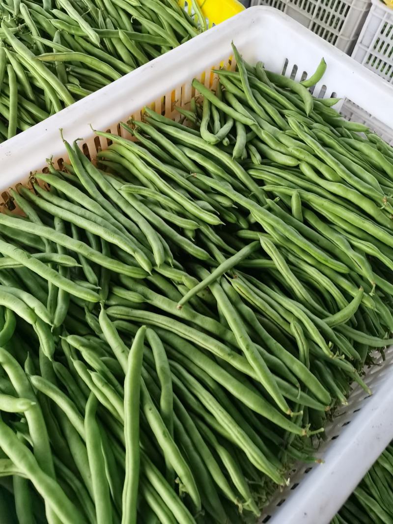小青豆加工特色干豆角