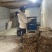 原榨茶枯粉清塘养殖茶粕肥料茶麸粉茶籽粉