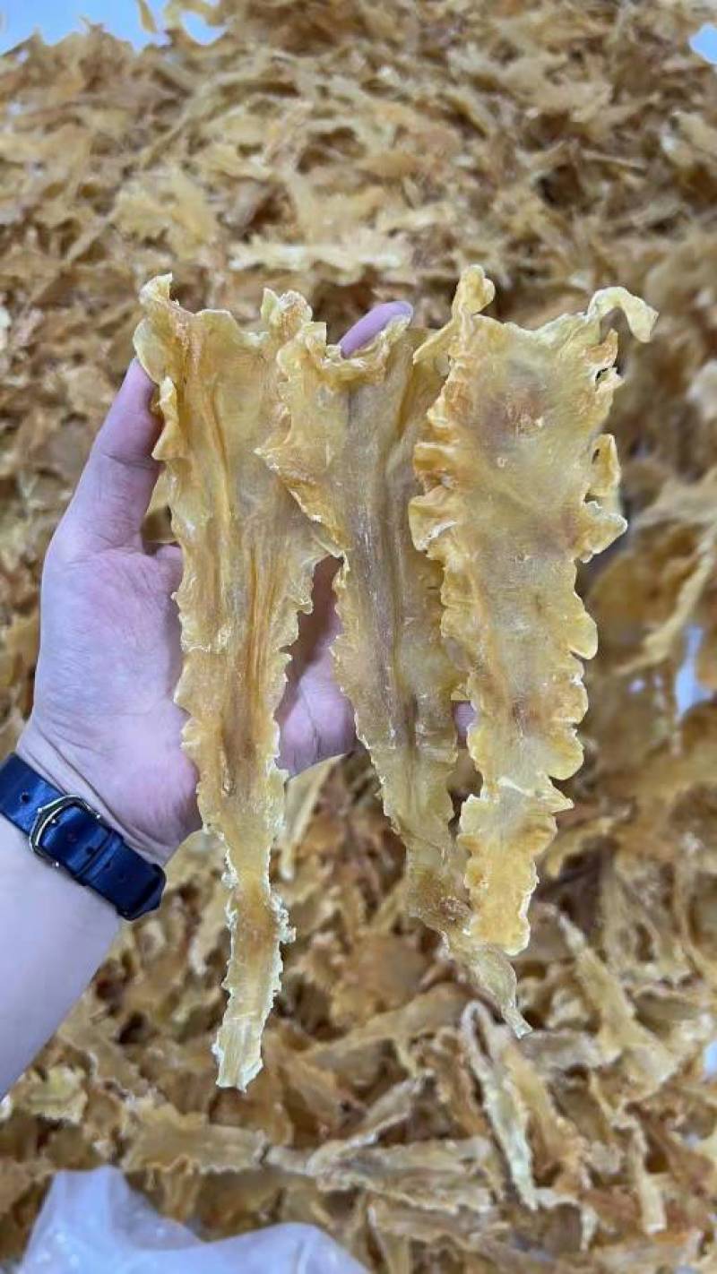 鱼胶鳕鱼胶35头55头100头规格量大从优