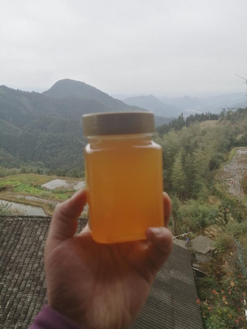 柳州苗山野生蜂蜜、冬蜜采收、1年1收，质量保证、诚信经营