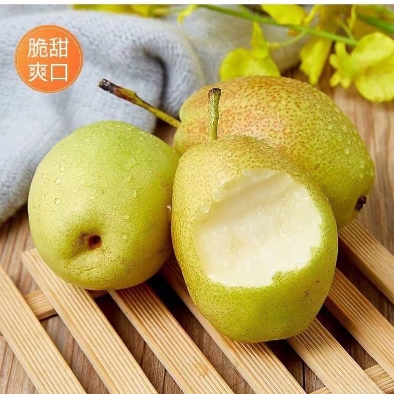 红香酥梨