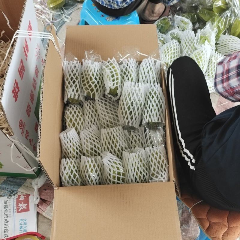 热销杨桃