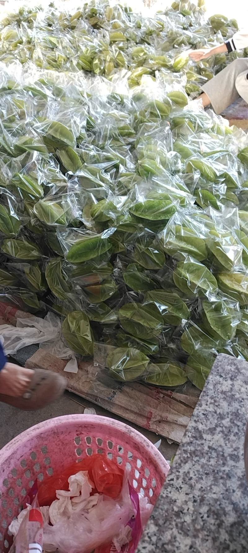 热销杨桃