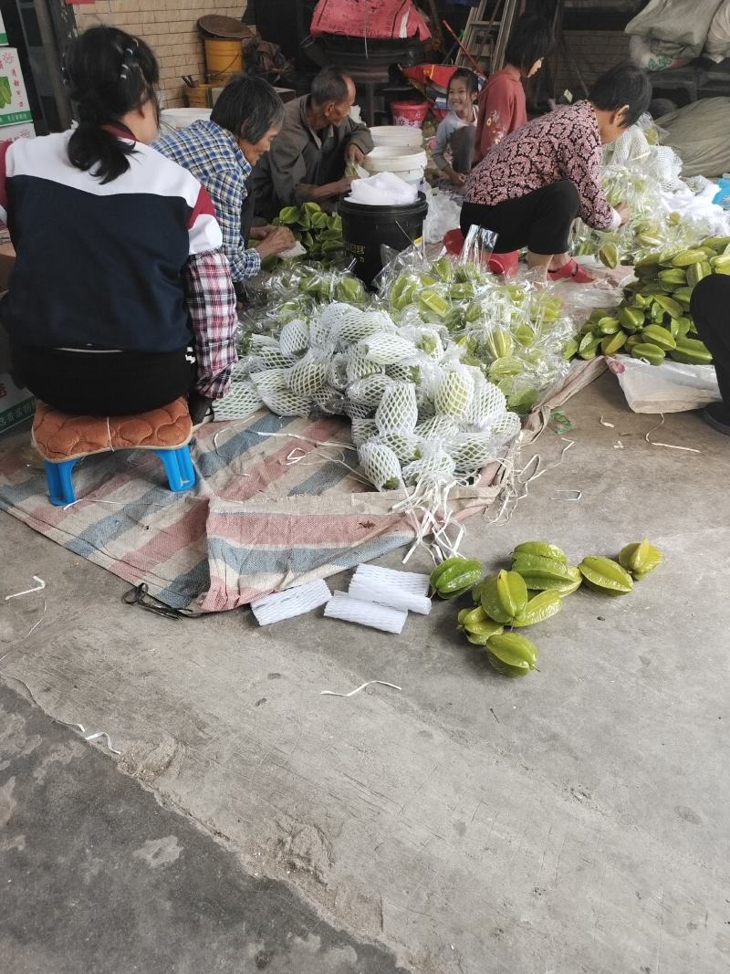 热销杨桃