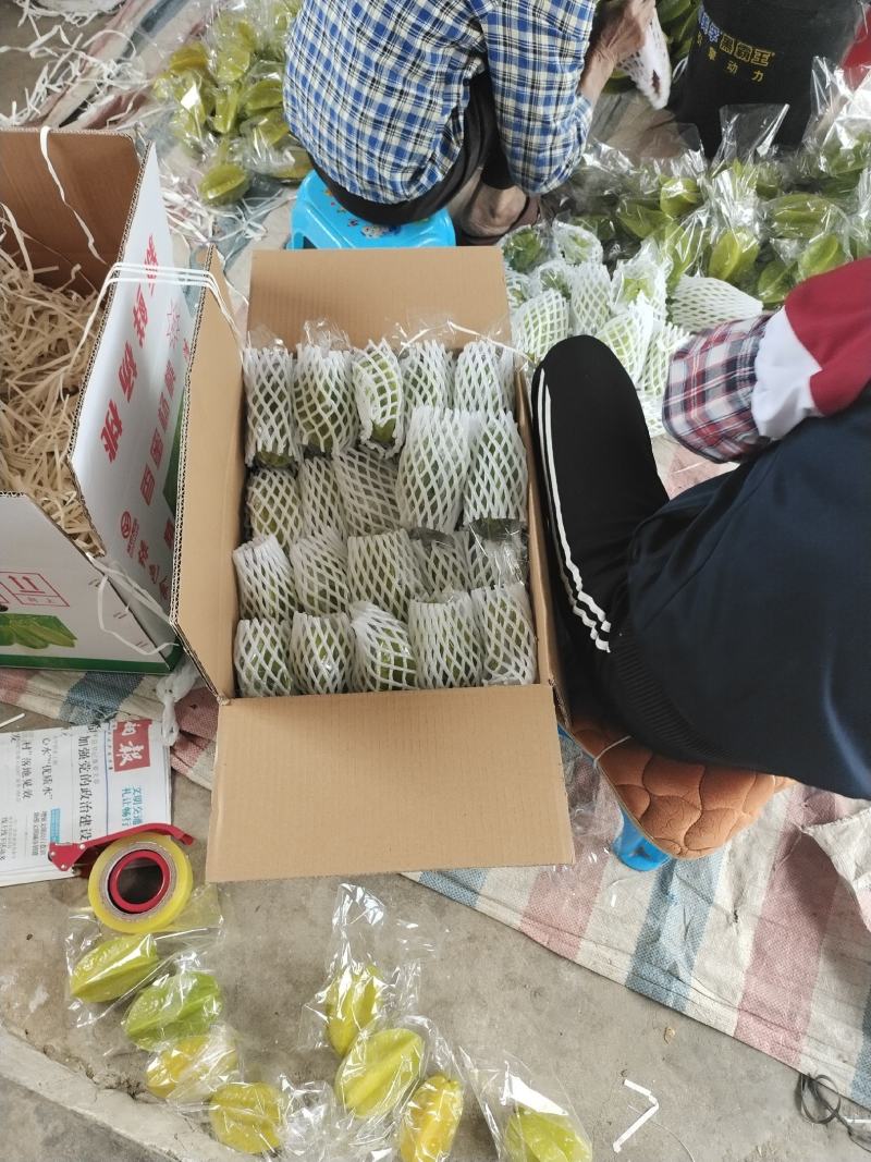 热销杨桃