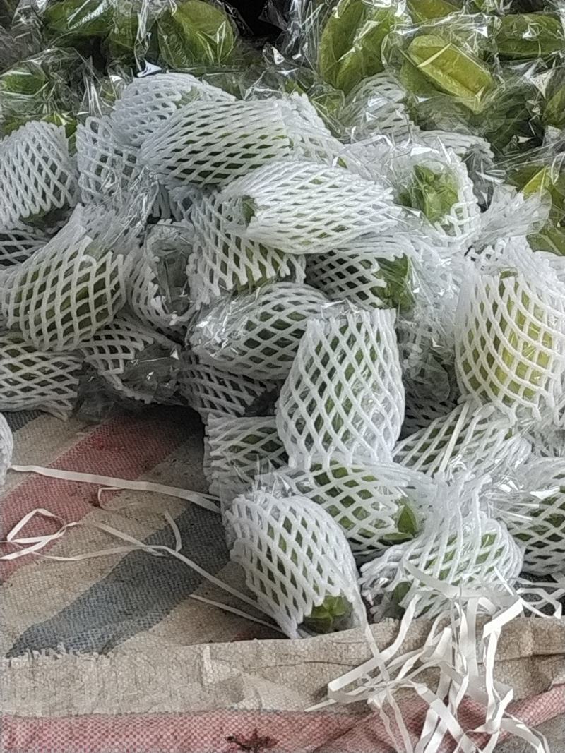 热销杨桃