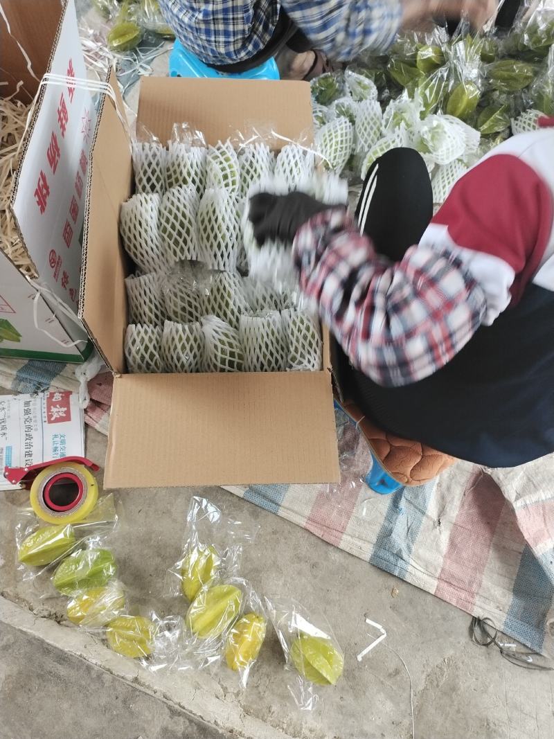热销杨桃