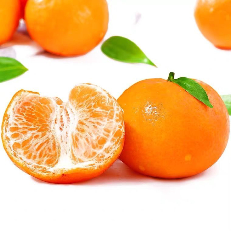今年收尾默科特有需要的老板请抓紧欢迎采购