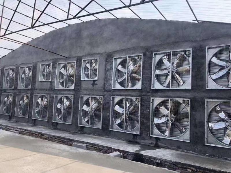 山东潍坊展浩农牧机械有限公司主要生产风机水帘料槽料塔！