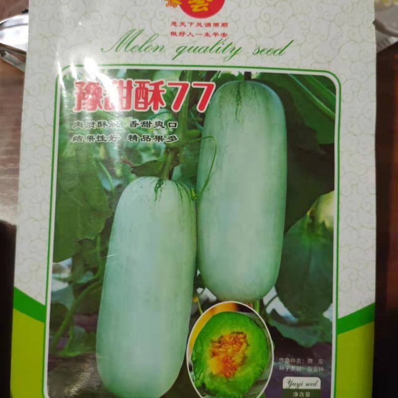 豫甜酥蜜77甜瓜