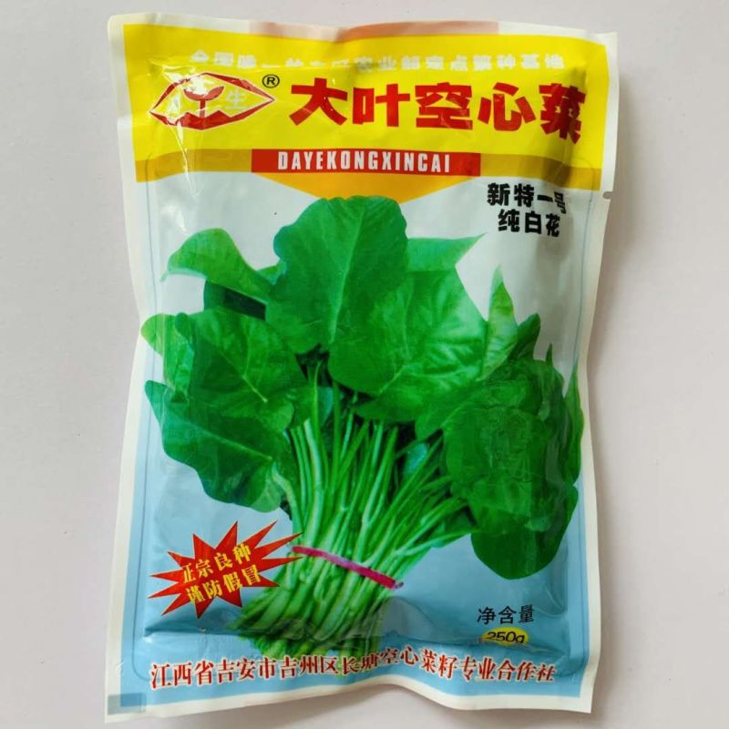 正宗良种大叶空心菜种子藤藤菜雍菜种籽新特一号纯白花蕹菜