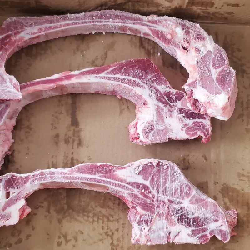 多肉前排条