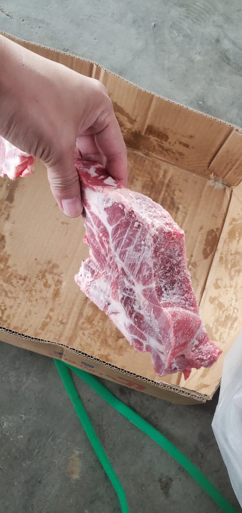 多肉前排条