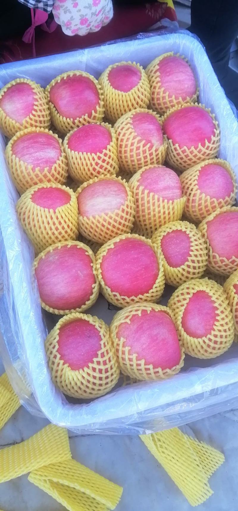 冷库纸袋短枝富士苹果，客商，果农的货都有