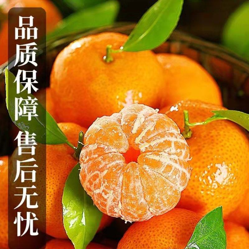 沙糖桔湖北柑橘之乡，产地直供，量大从优，欢迎订购