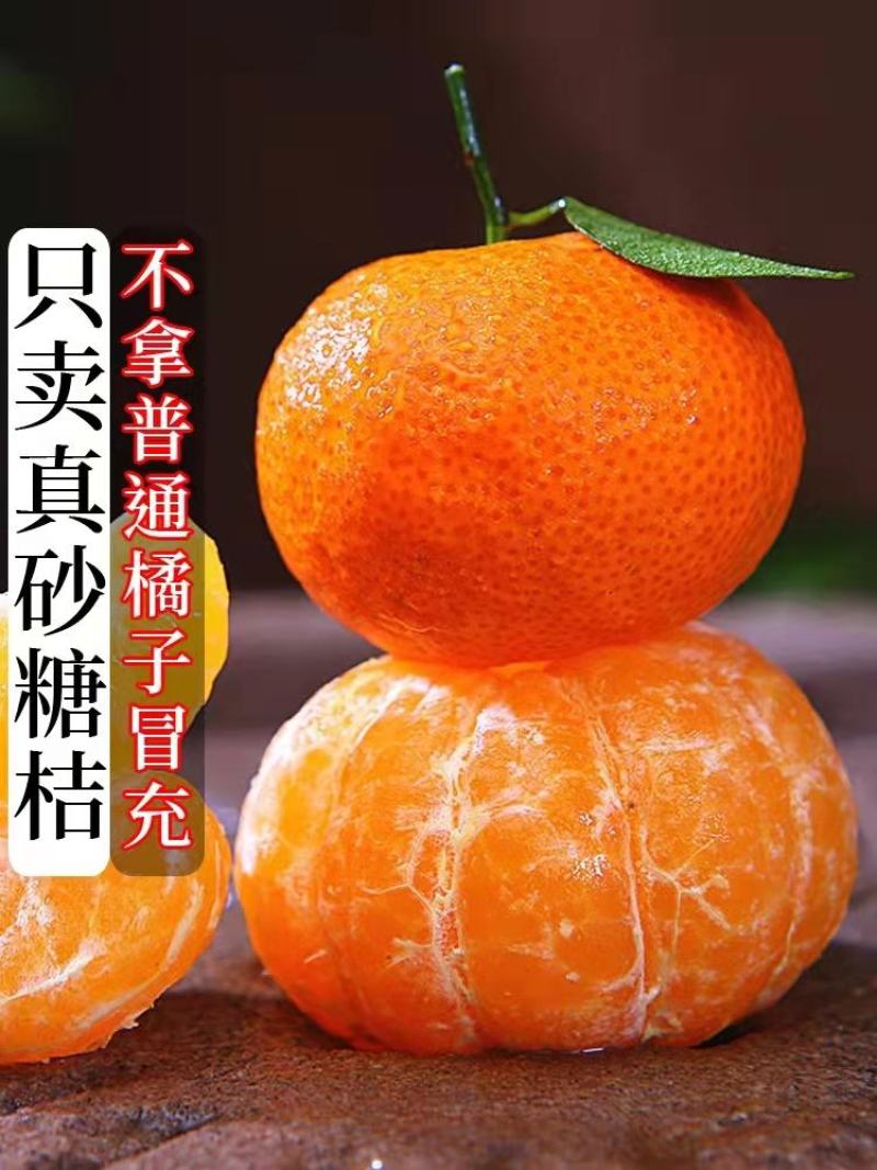 沙糖桔湖北柑橘之乡，产地直供，量大从优，欢迎订购
