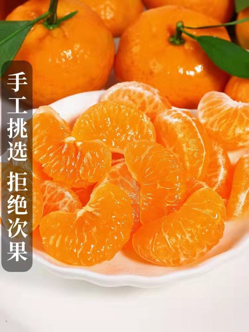 沙糖桔湖北柑橘之乡，产地直供，量大从优，欢迎订购
