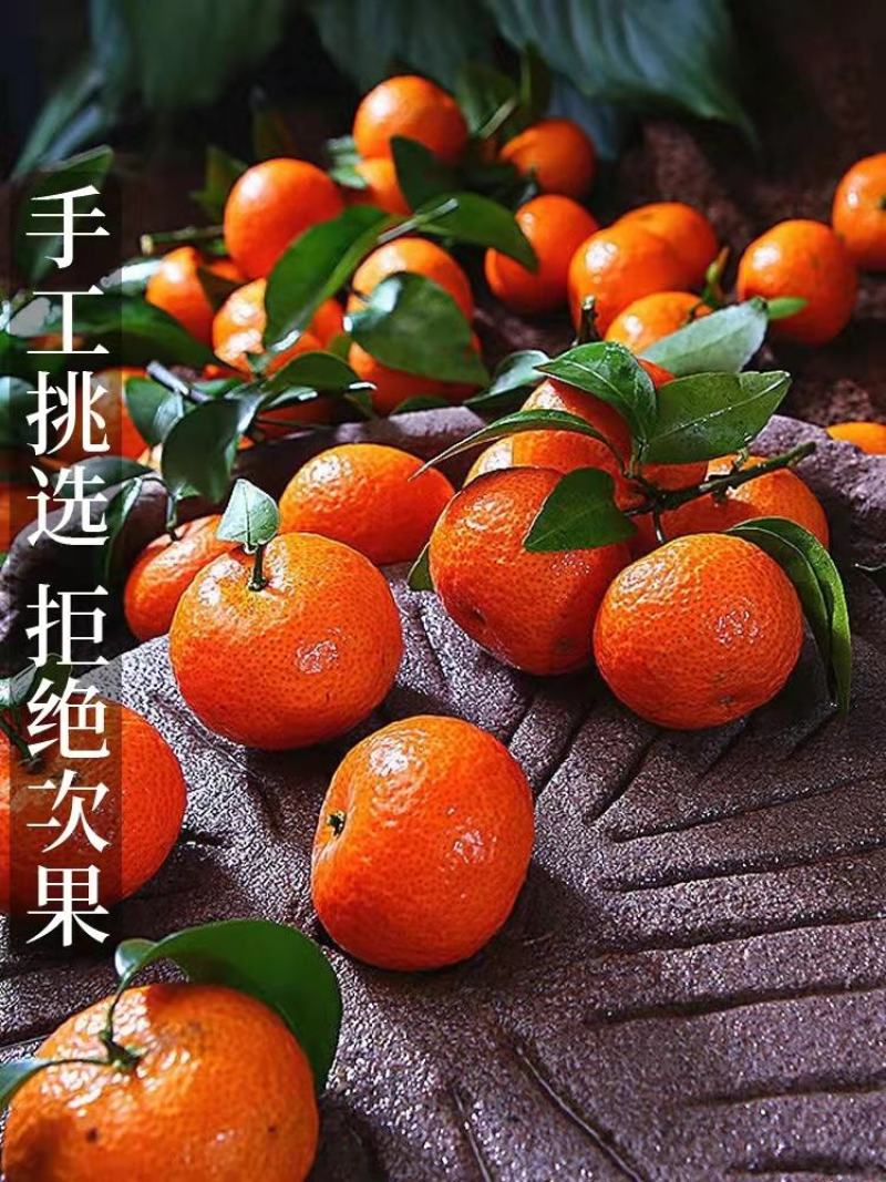 沙糖桔湖北柑橘之乡，产地直供，量大从优，欢迎订购