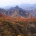山区资源转租