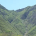山区资源转租