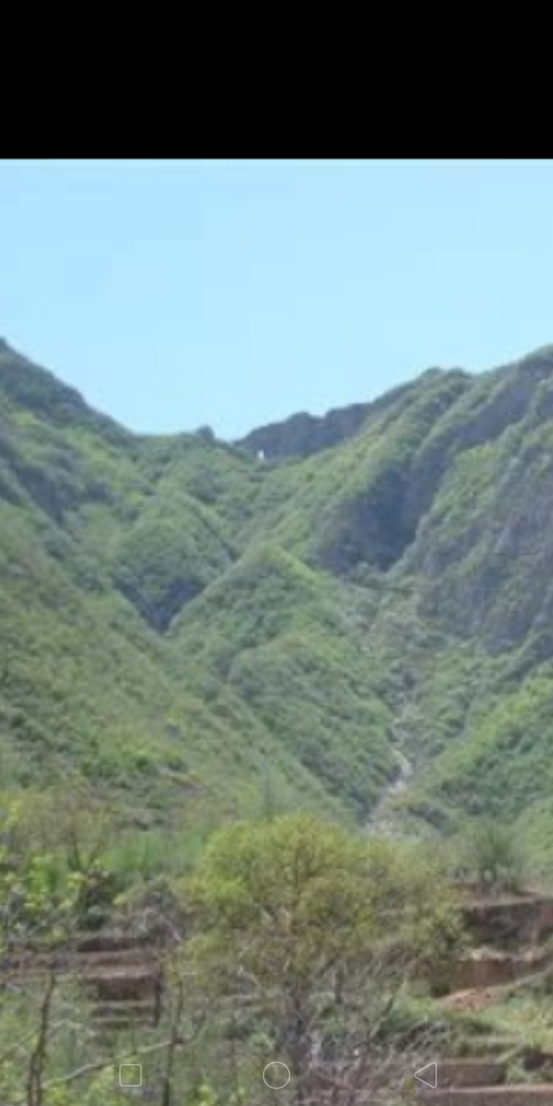 山区资源转租
