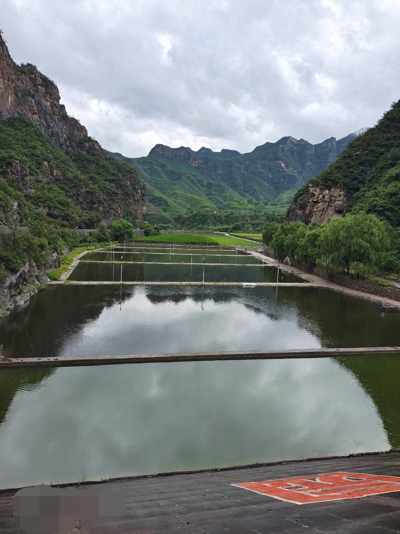 山区资源转租